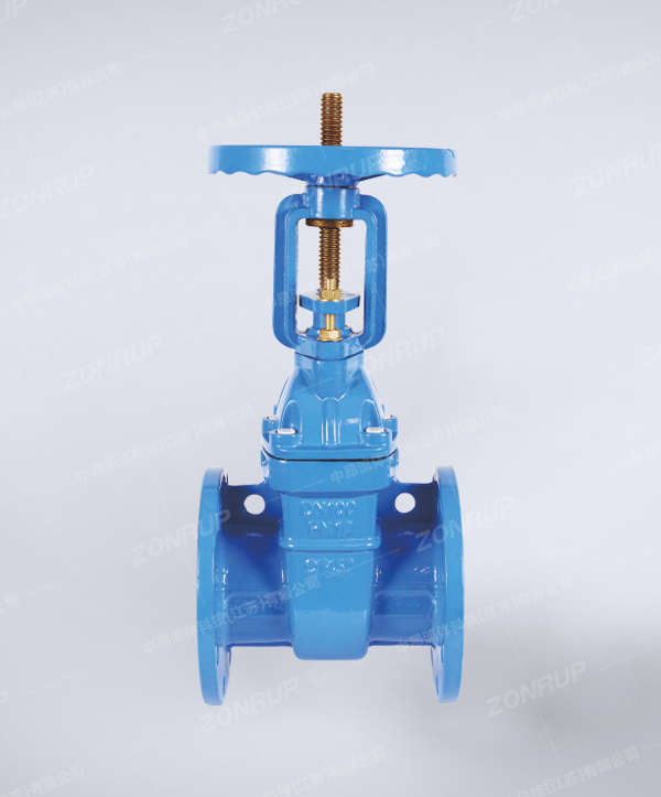 Z41T 铜芯防护明杆闸阀